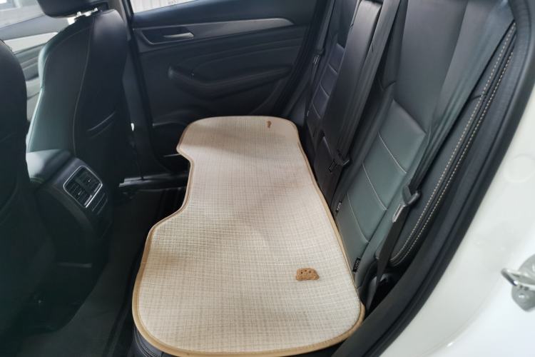 Used Haval F7x 2021 1.5T Two-Wheel Drive Smart & Trendy Edition Left Rear Seat