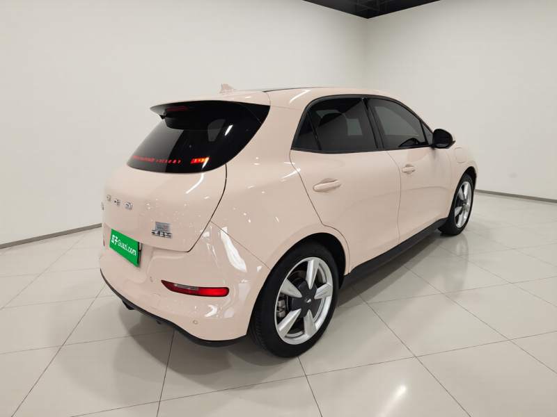 Used ORA Good Cat 2022 Morandi Edition 400km Standard Range Two-Week Young Enjoyment Version Lithium Iron Phosphate — 6