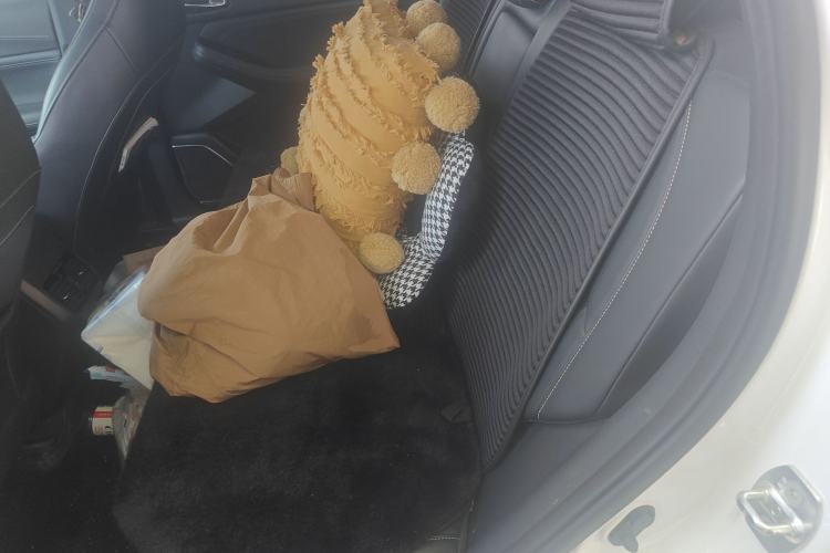 Used GAC Trumpchi GS4 2022 270T Automatic Smart Drive Technology Edition Left Rear Seat