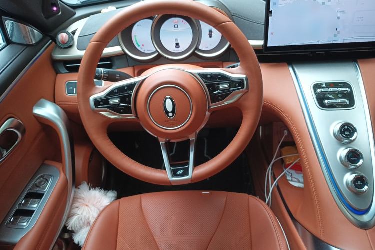 Used ORA Lightning Cat 2022 555 km Luxury Edition