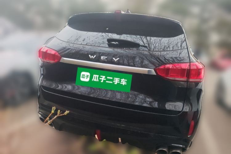 Used Wey VV6 2019 2.0T Two-Wheel-Drive Ultra-Luxury Version China VI Standard Rear