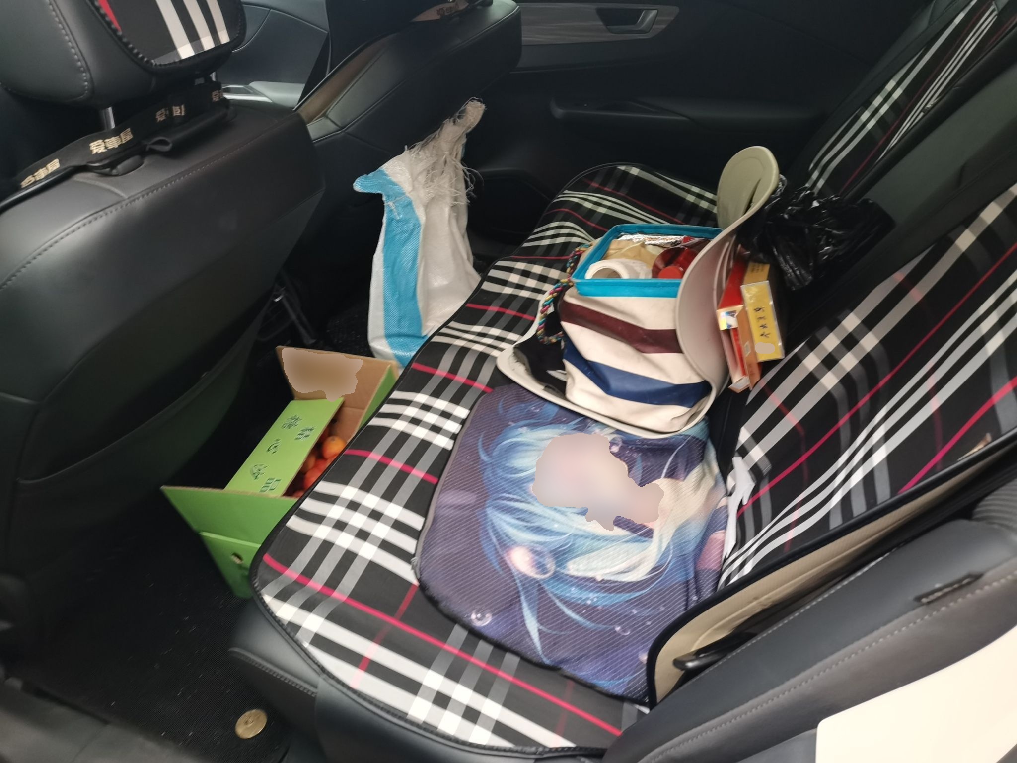 Hongqi E-QM5 2023 620km PLUS — снимка 17