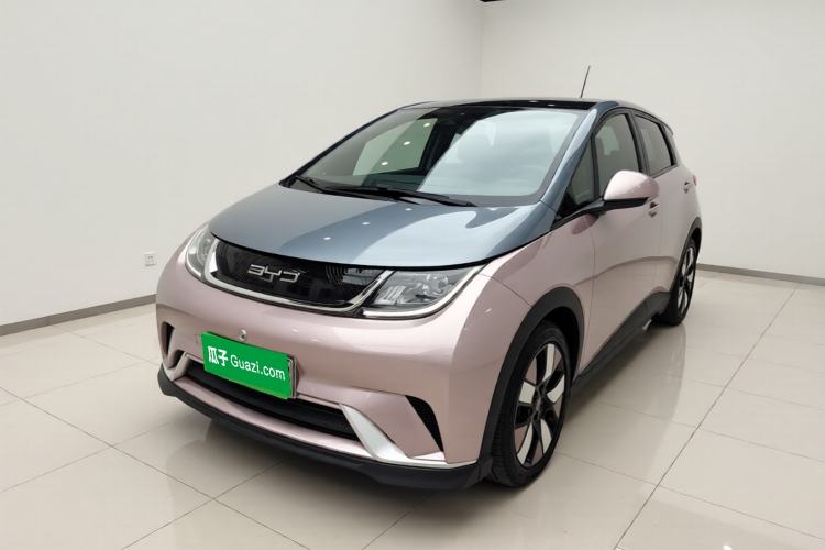 Used BYD Dolphin 2021 401km Knight Edition