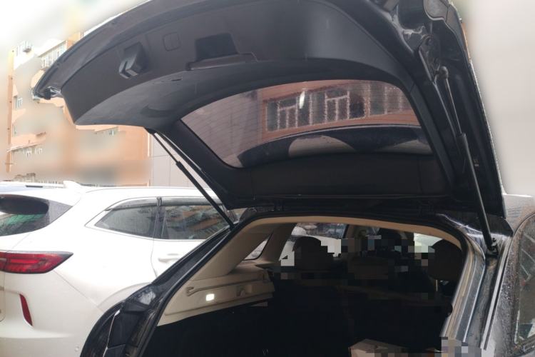 Used Leapmotor C11 2023 Pure Electric 500 Comfort Edition