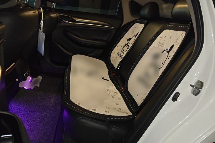 Used GAC Trumpchi GA6 2022 270T Automatic Elite Edition Left Rear Seat