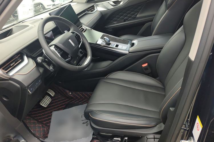 Used Wey Mocha 2021 2.0T Two-Wheel-Drive Ultra-Strong Version Left Front Seat