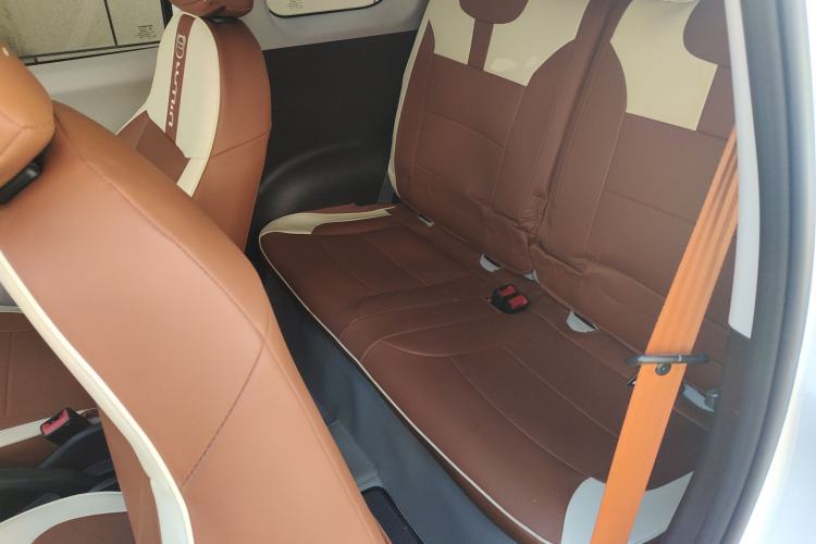 Used Qiyuan Lumin 2023 301km Honey Dew Edition
