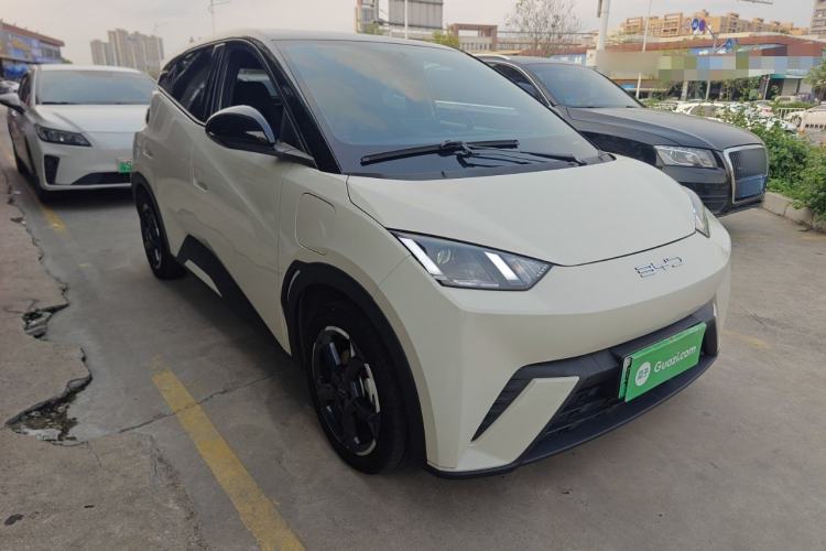 Used BYD Seagull 2023 Free Edition Exterior 1