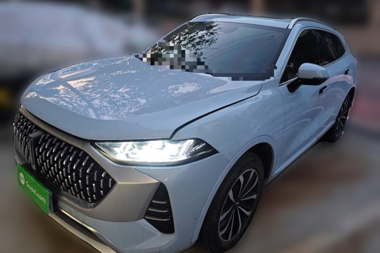 Used Wey Mocha 2021 2.0T Two-Wheel-Drive Premium Edition