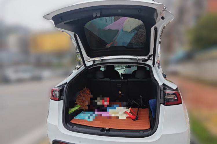 Used Tesla Model Y 2021 Long-Range All-Wheel-Drive Version
