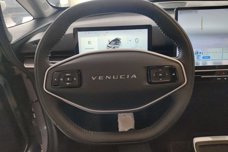 Used Venucia VX6 2023 520 Max Steering Wheel