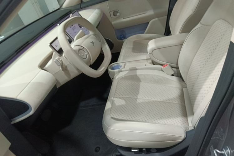 Used firefly 2025 Illuminated Edition
