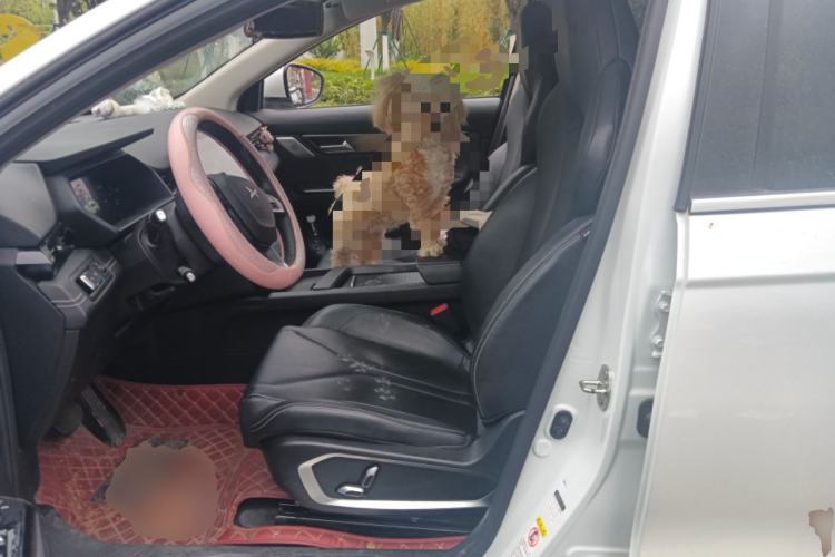 Used XPeng G3 2022 G3i 460G+ Left Front Seat