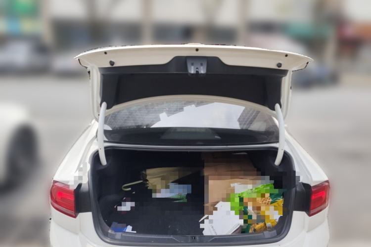 Used Volkswagen Lamando 2017 230TSI DSG Fashion Edition