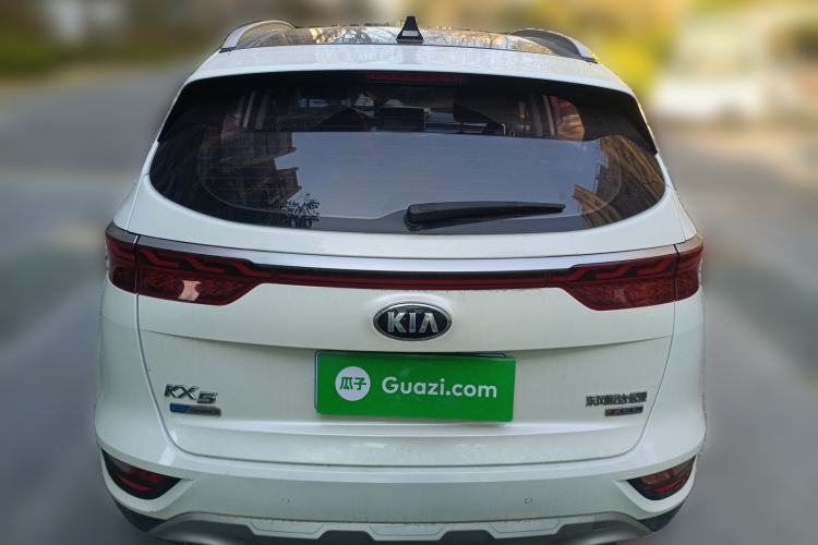 Used Kia KX5 2019 1.6T Automatic Two-Wheel Drive Luxury Edition Rear