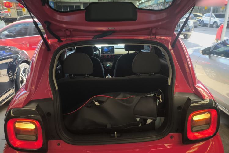 Used ORA Black Cat  Trunk