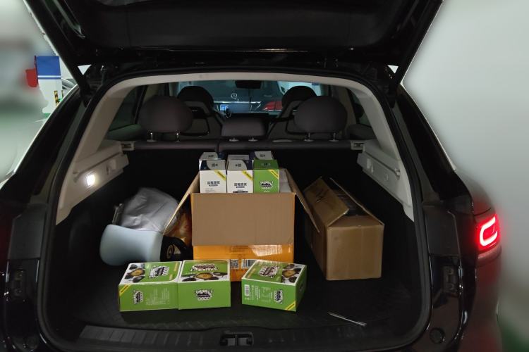 Used Leapmotor C11 2024 All-Electric 580 Luxury Edition