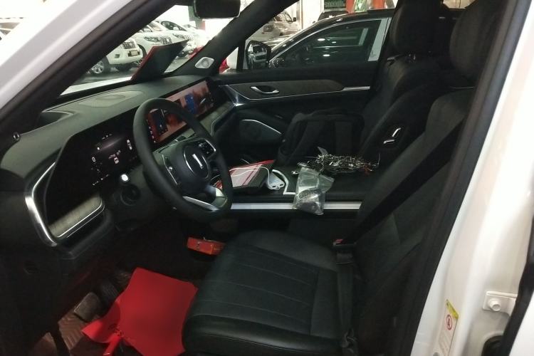 Used Wey Lanshan 2023 Four-Wheel Drive Ultra-Long Range Version
