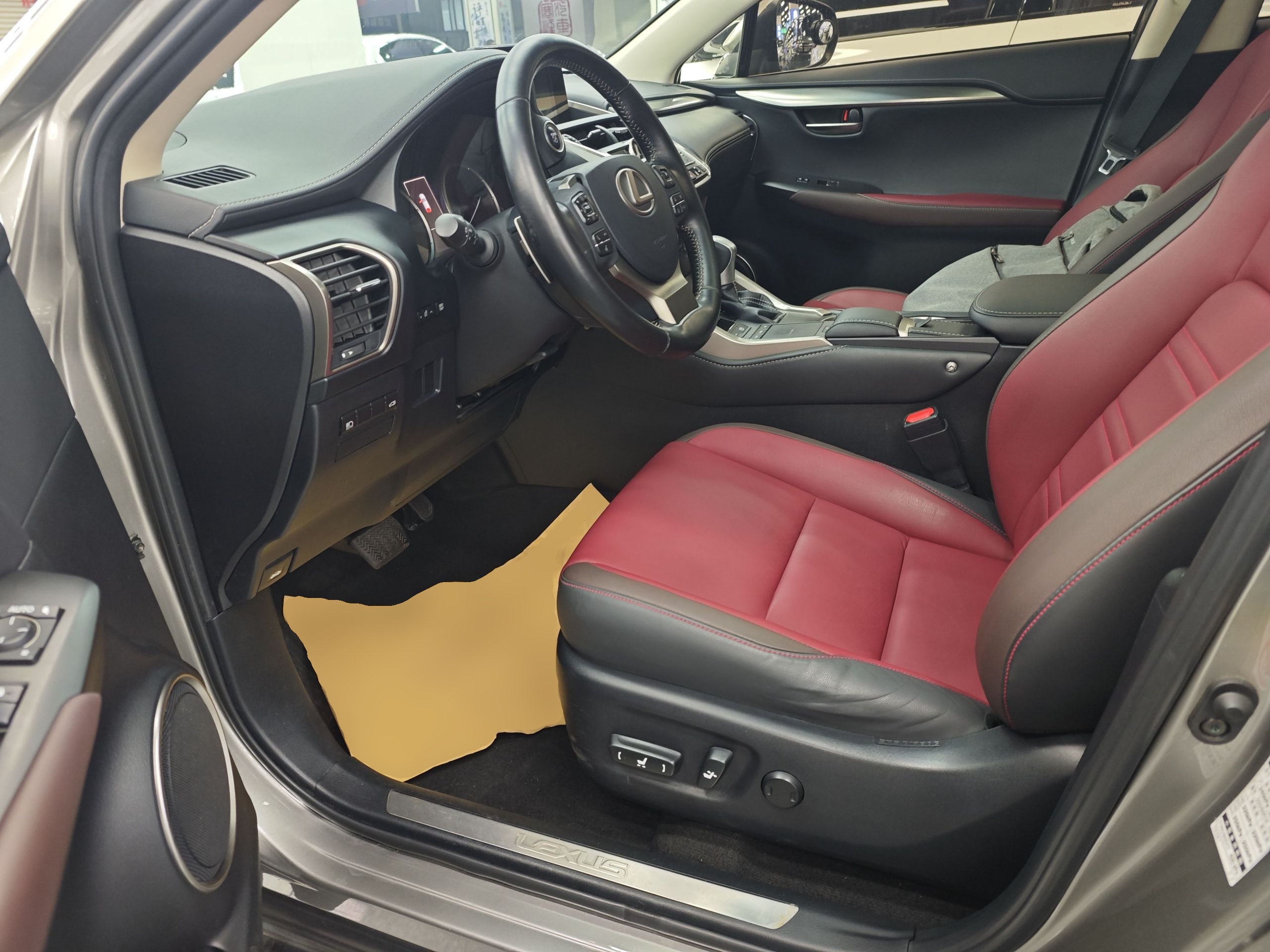 Interior delantero
