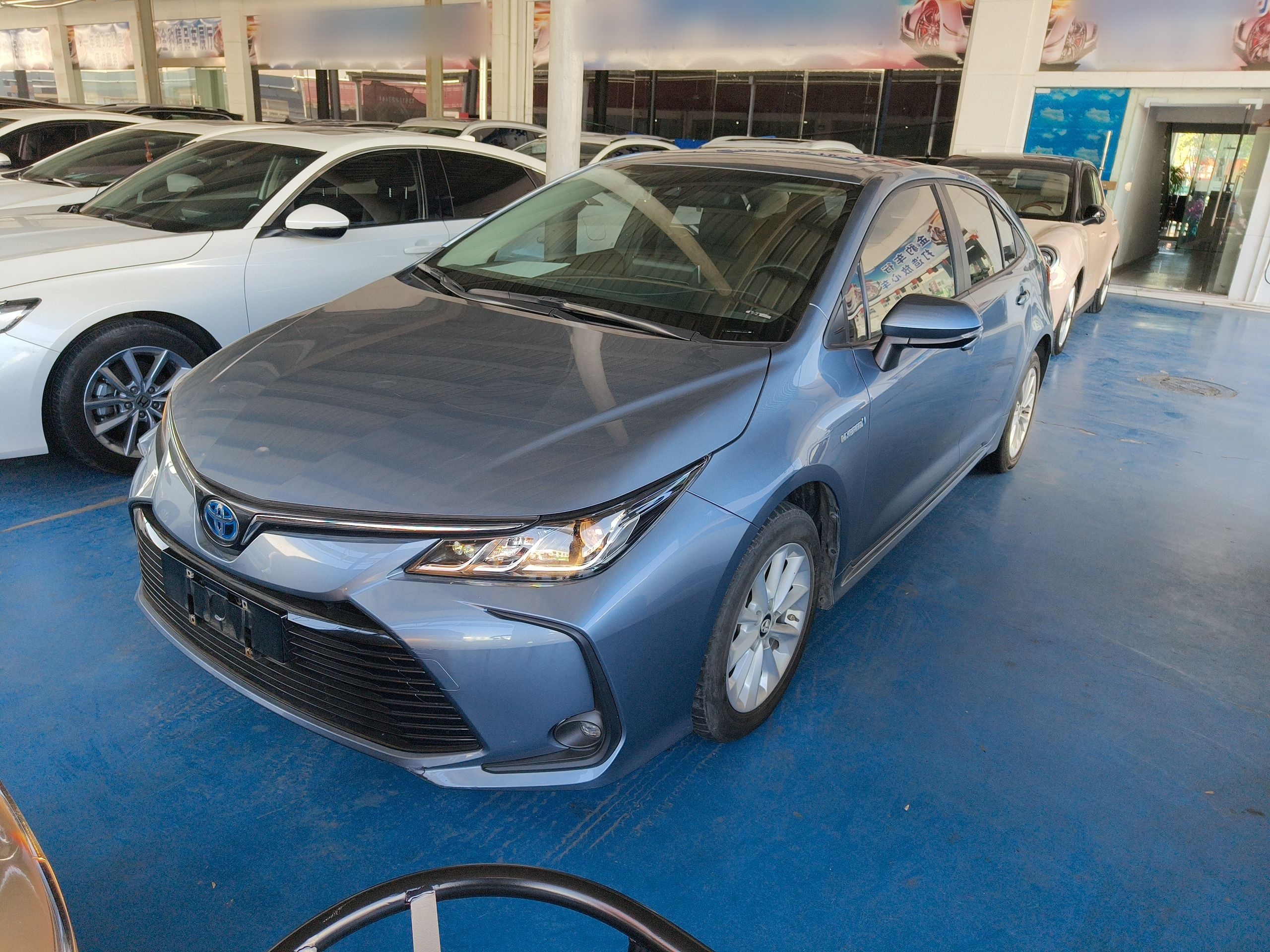 Parte inferior delantera