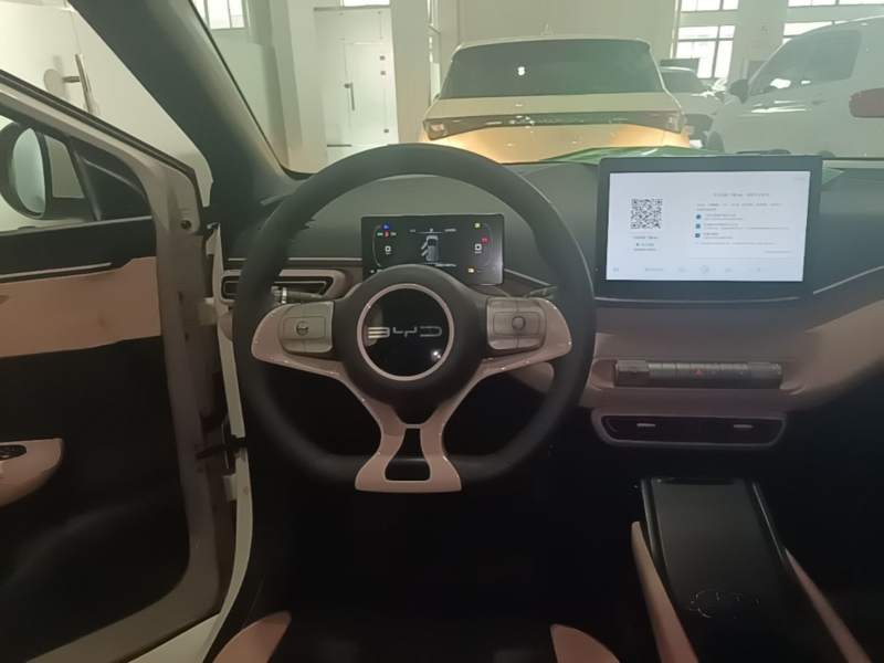Used BYD Seagull 2023 Active Version — 10