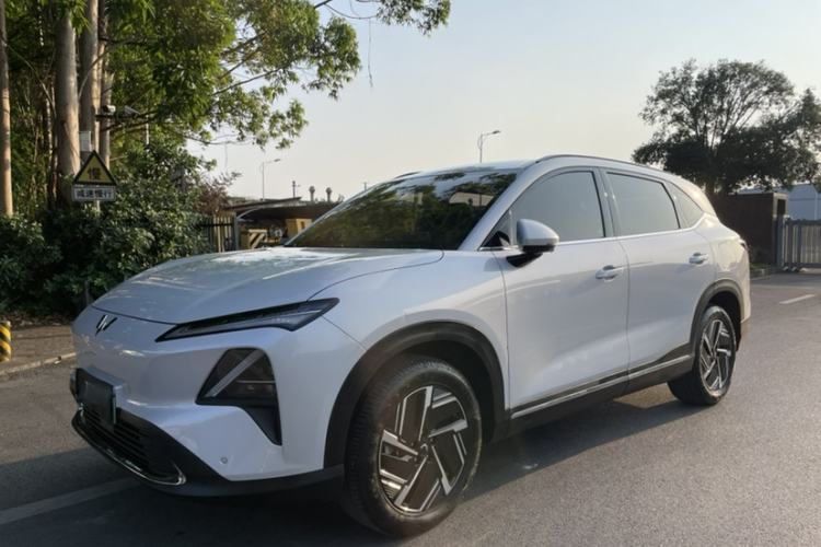 Used Wuling Xingguang S 2024 130 km Flagship Version