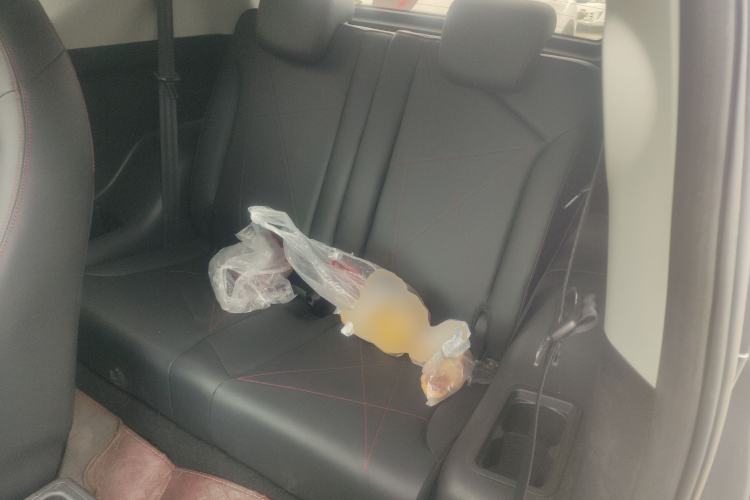 Used Chery Little Ant 2023 251km True Love Edition Lithium Iron Phosphate