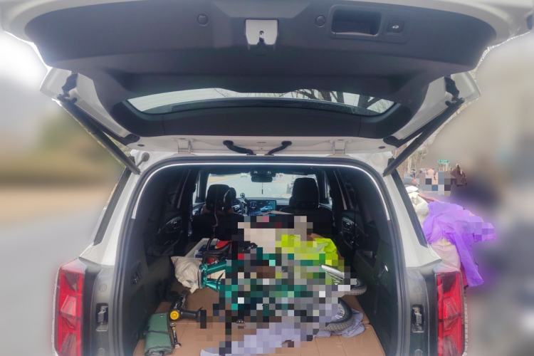 Used GAC Trumpchi GS8 2025 Linghang Series 2.0 TGDI Two-Wheel-Drive Luxury Edition 5 Seats