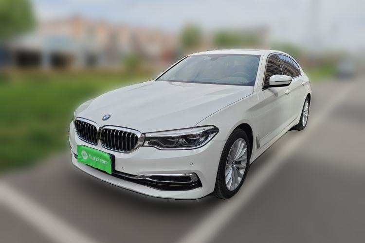 Used BMW 5 Series 2020 530Li Luxury Edition Premium Package