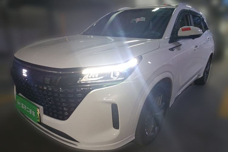 Used Landian E5 2024 Honor Edition 100KM Comfort Model 7 Seats