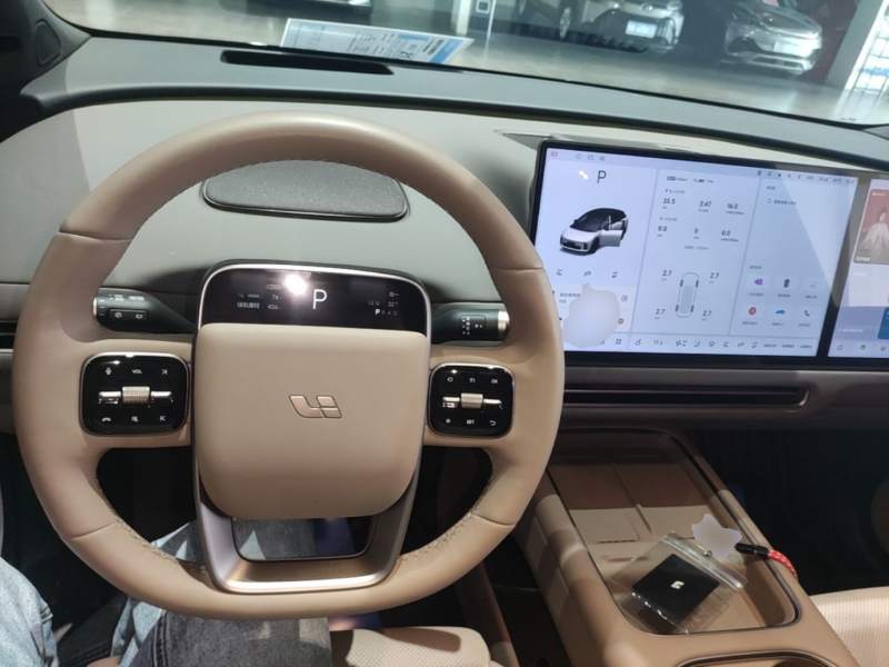 Used Li Auto i6 2025 Model Two-Wheel-Drive Standard Type — 9