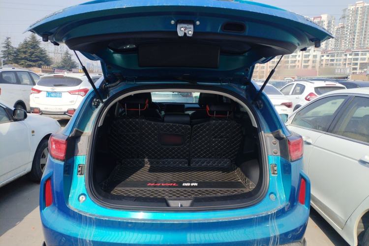 Used Haval LHERY 2021 High-Performance Version 1.5T Golden Rabbit