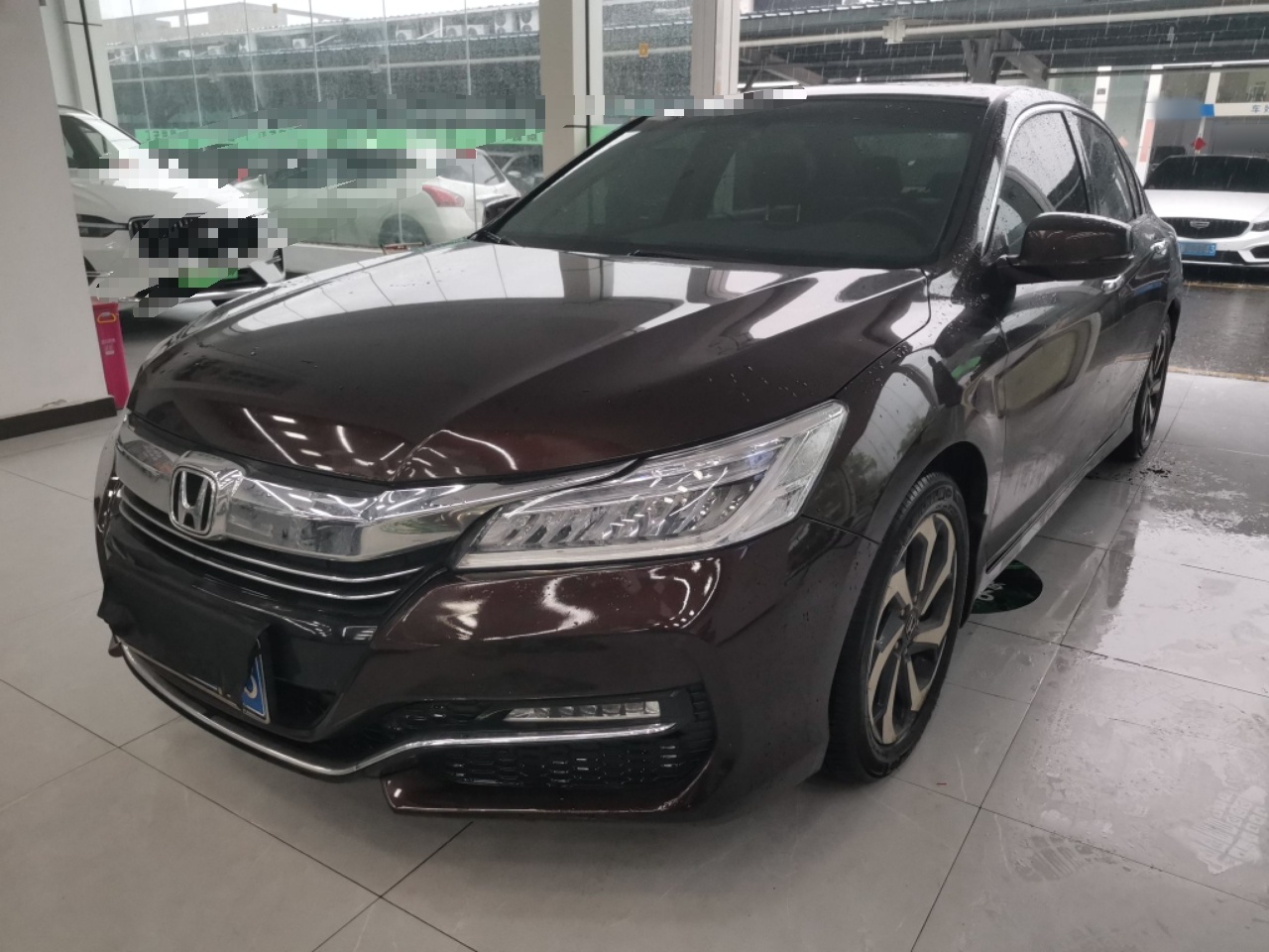 Parte inferior delantera