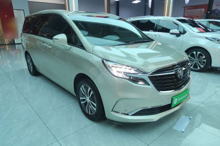 Used Buick GL8 2022 ES Landtrek 653T Luxury Edition
