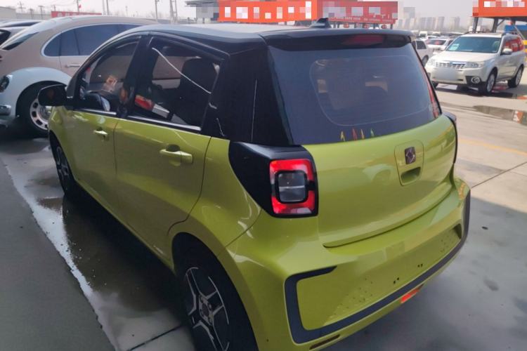 Used SOL E10X 2022 Flower Fairy Design Four-Leaf Clover
