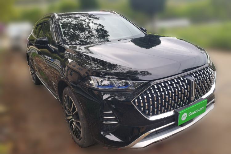 Used Wey Mocha 2021 2.0T Four-Wheel Drive Premium Edition
