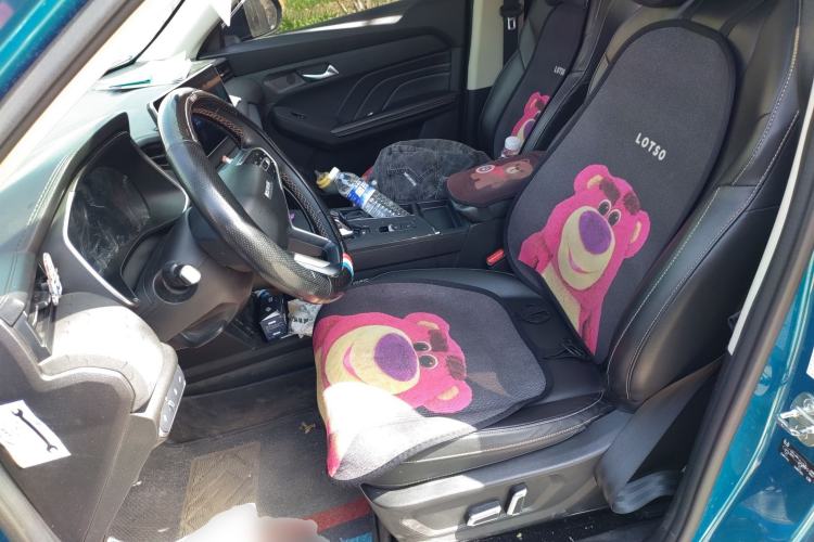 Used Haval LHERY 2022 Jingxiang Edition 1.5T Copper Rabbit
