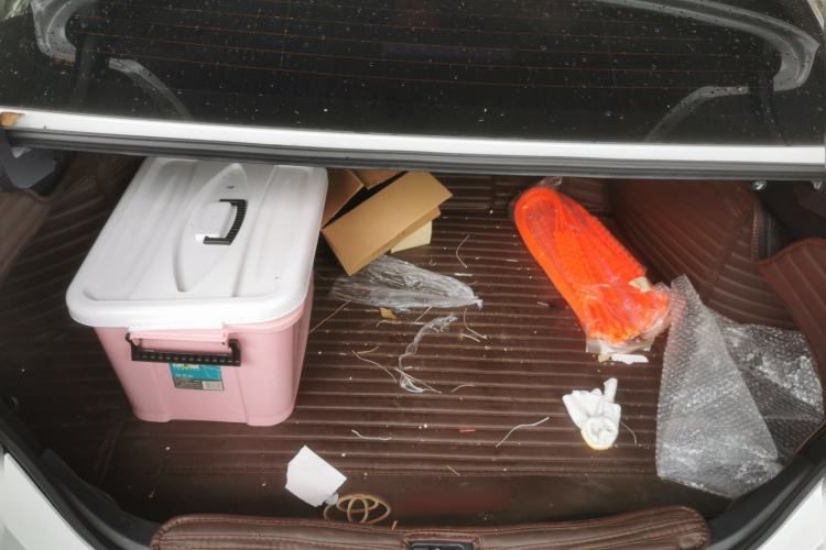 Used Toyota Camry 2019 2.0G Luxury Edition China VI Standard