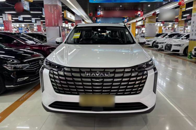 Used Haval H6 2024 1.5T Two-Wheel Drive Max