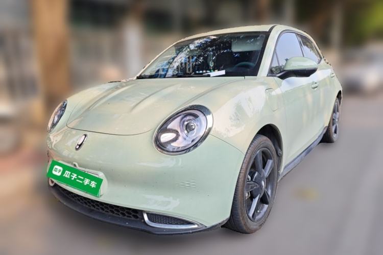 Used ORA Good Cat 2024 401 km Luxury Version