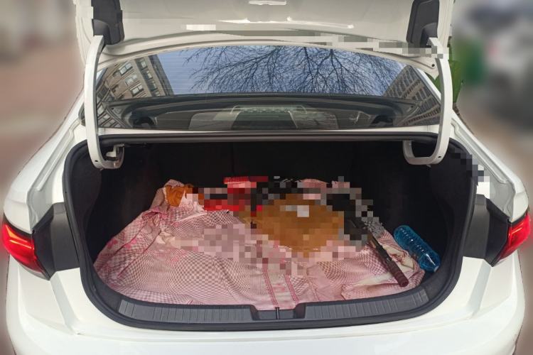 Used Volkswagen Sagitar 2025 Revised Version 2 300TSI DSG Excellence Edition Trunk