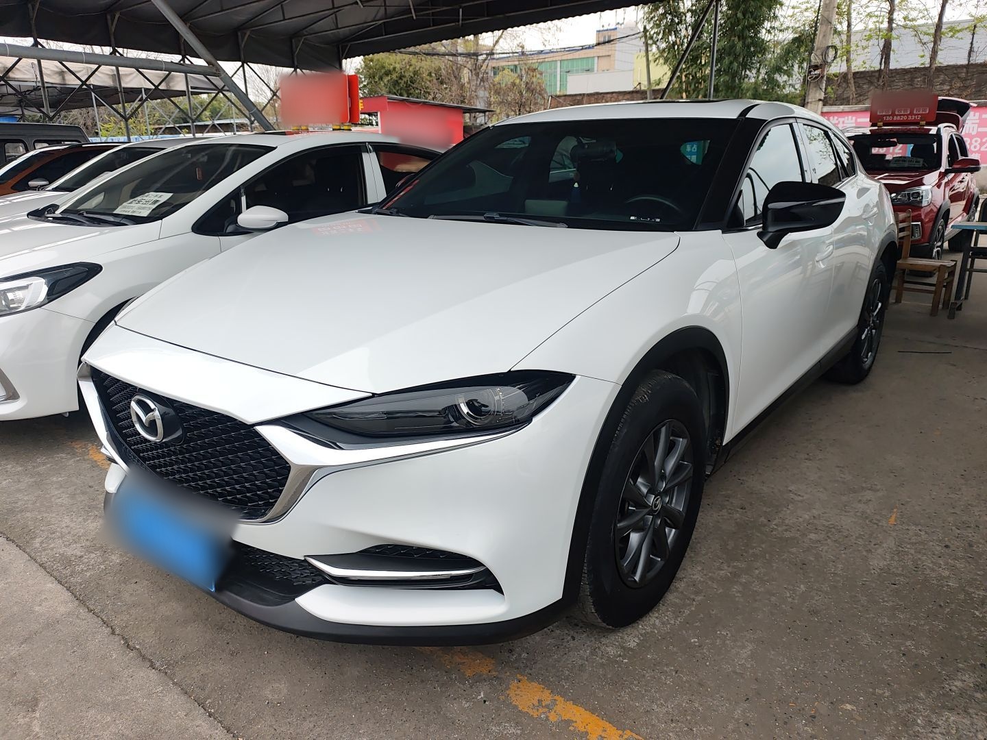 Parte inferior delantera