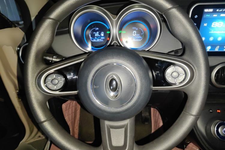 Used ORA Black Cat 2021 301 km Basic Version Steering Wheel