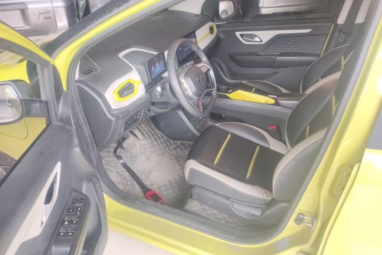 Used SOL E10X 2022 Flower Fairy Design Four-Leaf Clover