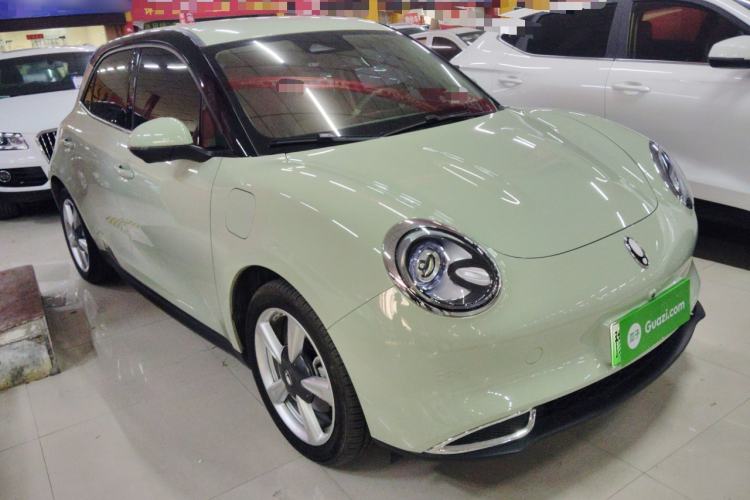 Used ORA Good Cat 2023 401 km Standard Range Luxury Version Lithium Iron Phosphate