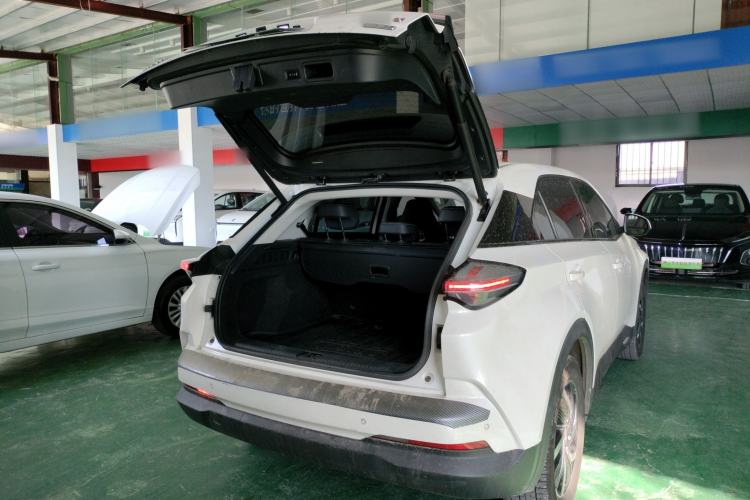 Used NETA U 2021 Pro 500 Global Edition