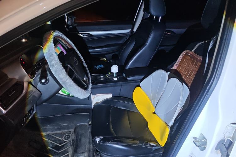 Used Geely Auto Emgrand New Energy 2018 EV450 Ambition Model Left Front Seat