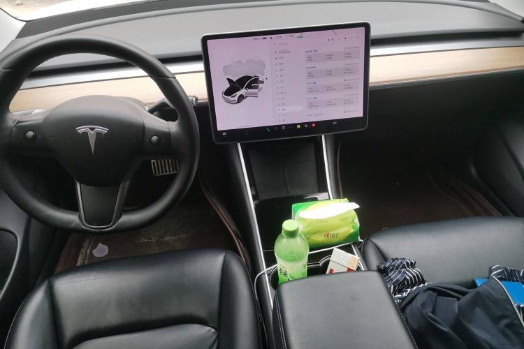 Used Tesla Model 3 2019 Long-Range All-Wheel-Drive Version

