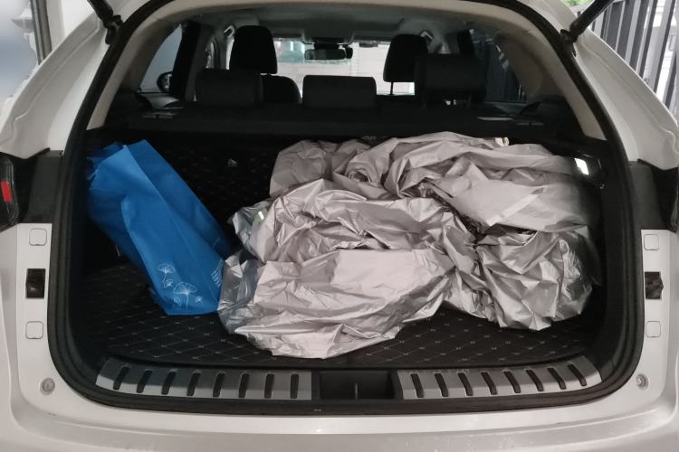 Used Lexus NX 2020 300h Front-Drive FENGSHANG Version China VI Standard