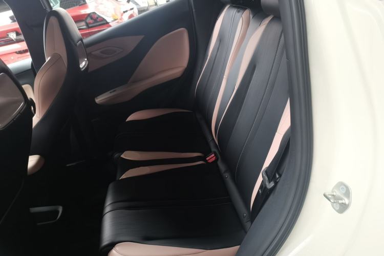 Used BYD Seagull 2023 Free Edition Left Rear Seat